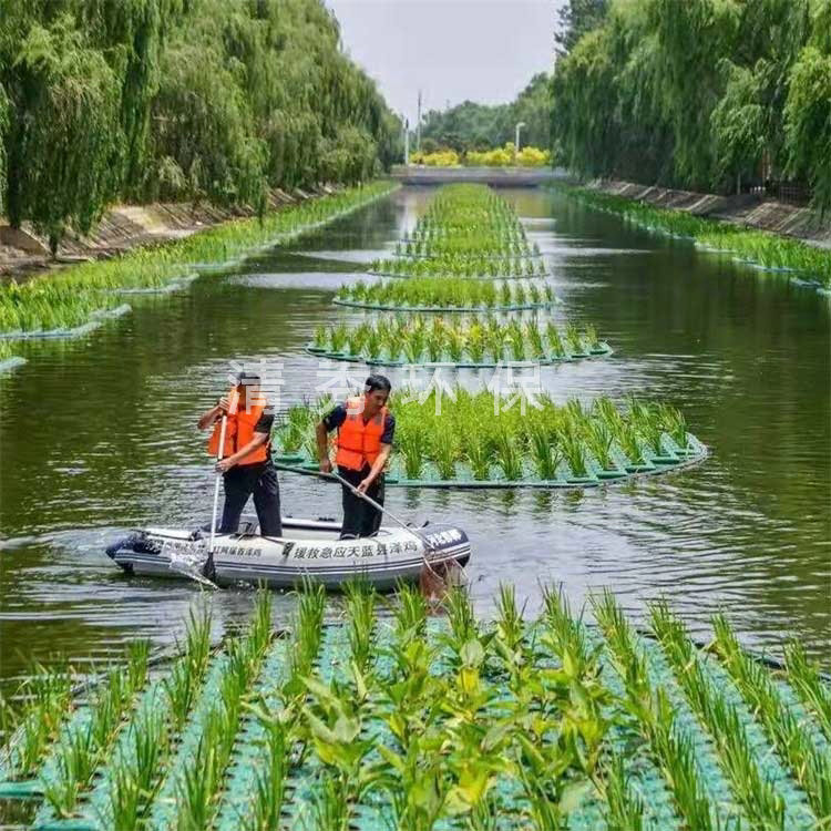 河北雞澤縣浮島